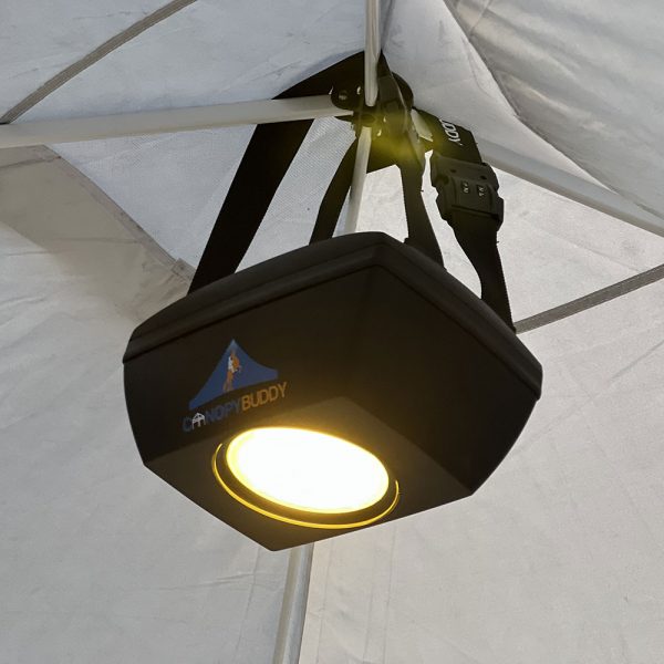 LED Canopy Light