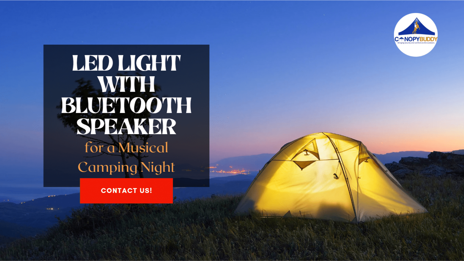 LED Light with Bluetooth Speaker in California